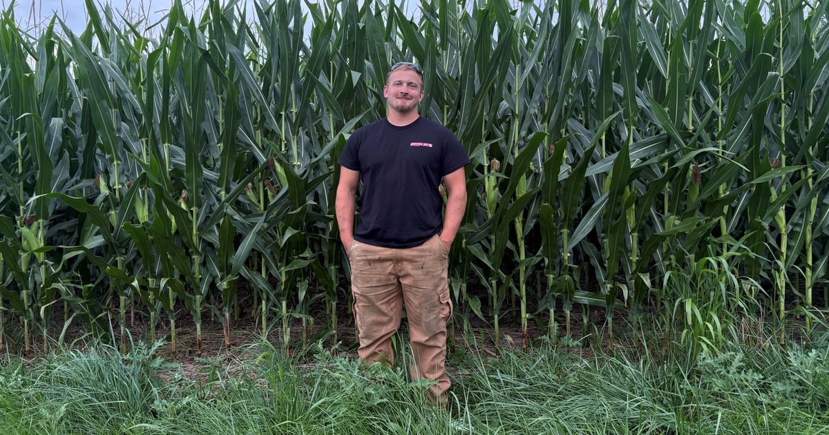 August moisture saves season for Ohio grower
