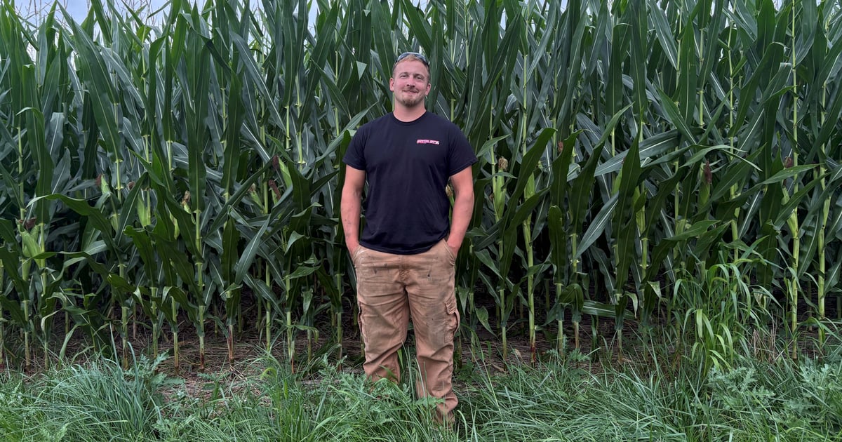 August moisture saves season for Ohio grower