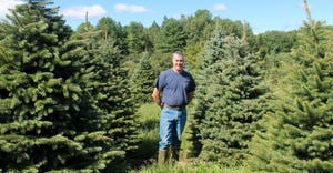Brian Skeval stands among mature trees at his Whitetail Tree Farm 