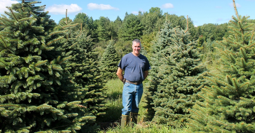 Brian Skeval stands among mature trees at his Whitetail Tree Farm Brian Skeval stands among mature trees at his Whitetail Tree Farm