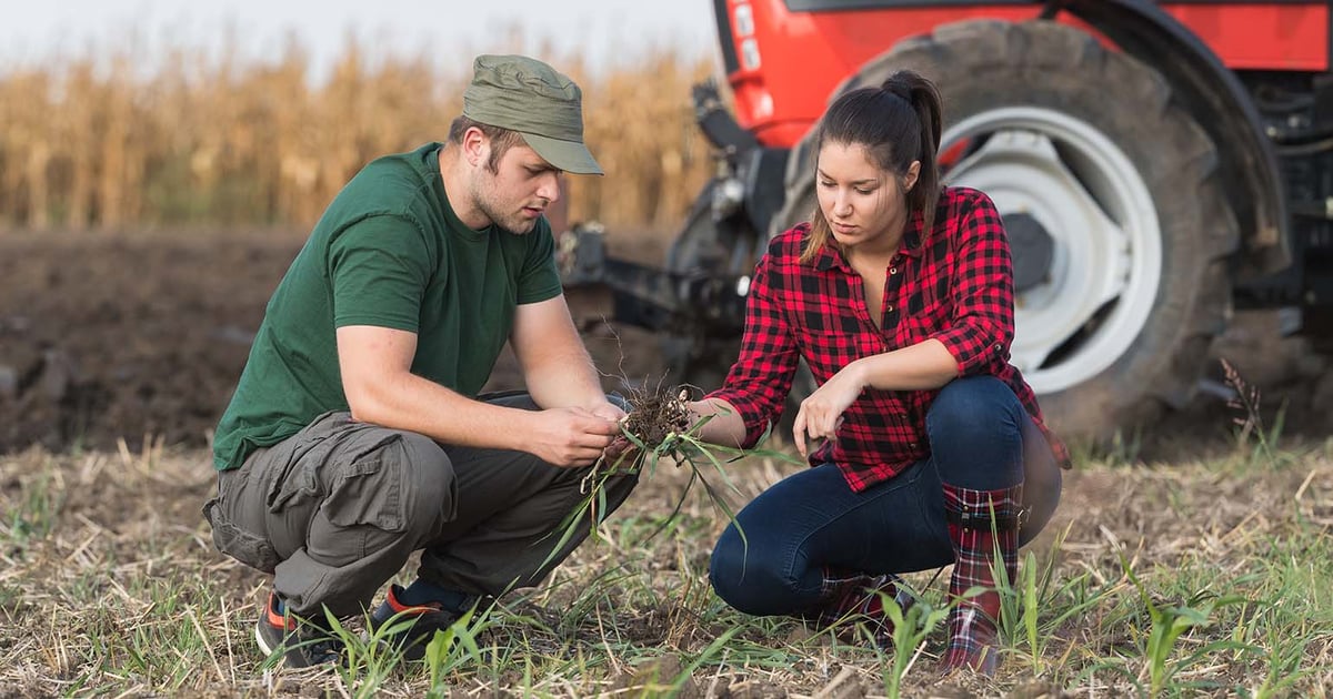 3 concepts to run the farm by