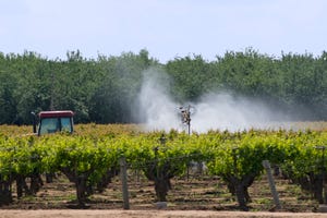 spraying-pesticides-in-vineyard-GettyImages-117970269.jpg