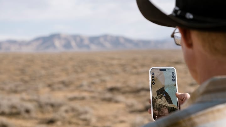 Smart ranch tech cuts costs, boosts cattle health