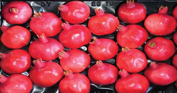 New premium pomegranate hits world markets 269784