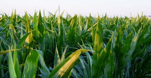 climate-corn-promo-image.jpg
