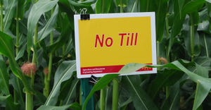 no till sign amongst stalks of corn