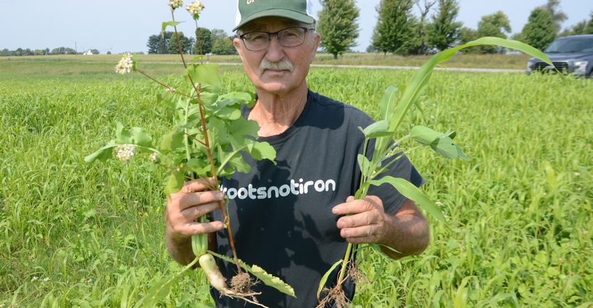 Keith Miller holds various cover crop plants
