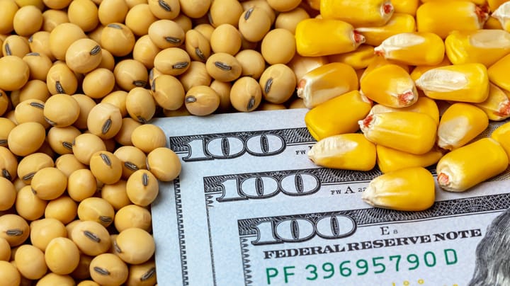 Will commodity prices absorb an interest rate hike?