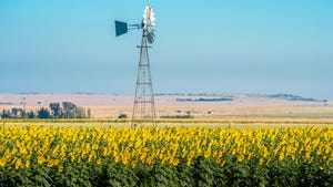 Windmill in sunflower field