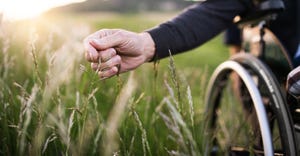 man's hand in tall grass from wheelchair