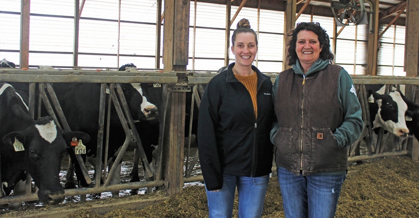 Maartje Murphy with dairy cows