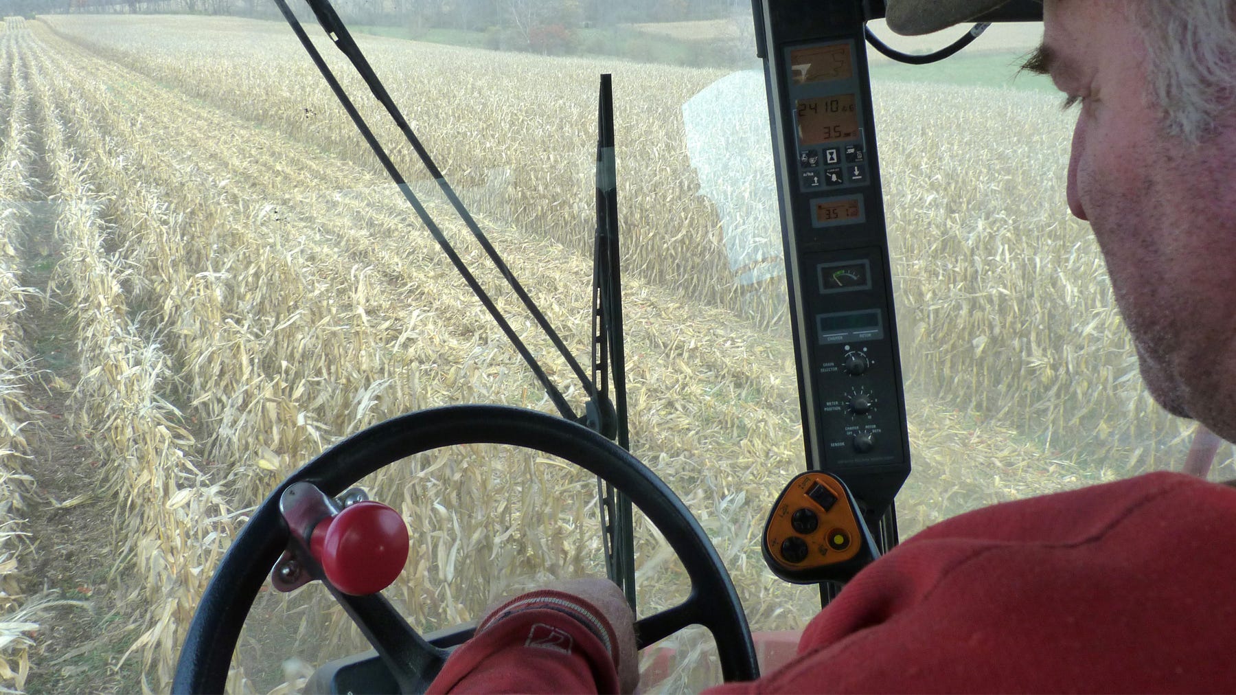 view from cab of combine as it harvest corn