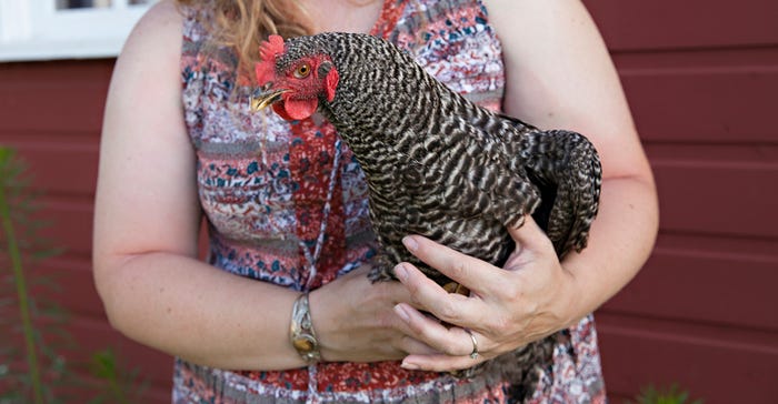 Carla Mertz holding a chicken