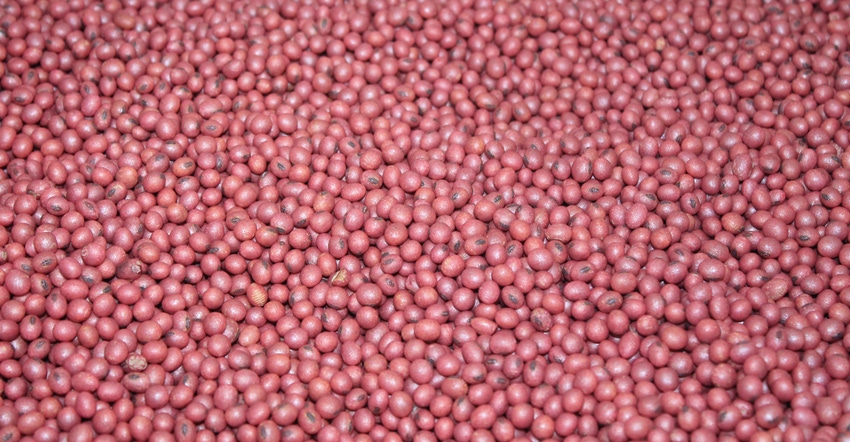 treated soybeans treated soybeans