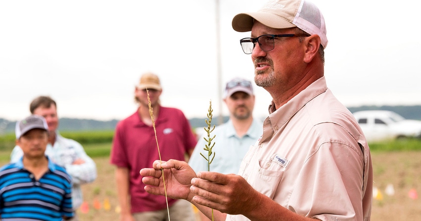 2022-rice-field-day--rrec_52272165636_ocopy.jpg 2022-rice-field-day--rrec_52272165636_ocopy.jpg