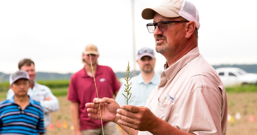 2022-rice-field-day--rrec_52272165636_ocopy.jpg