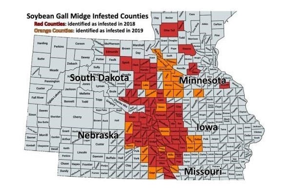 Soybean gall midge distribution in 2018 and 2019 map. 