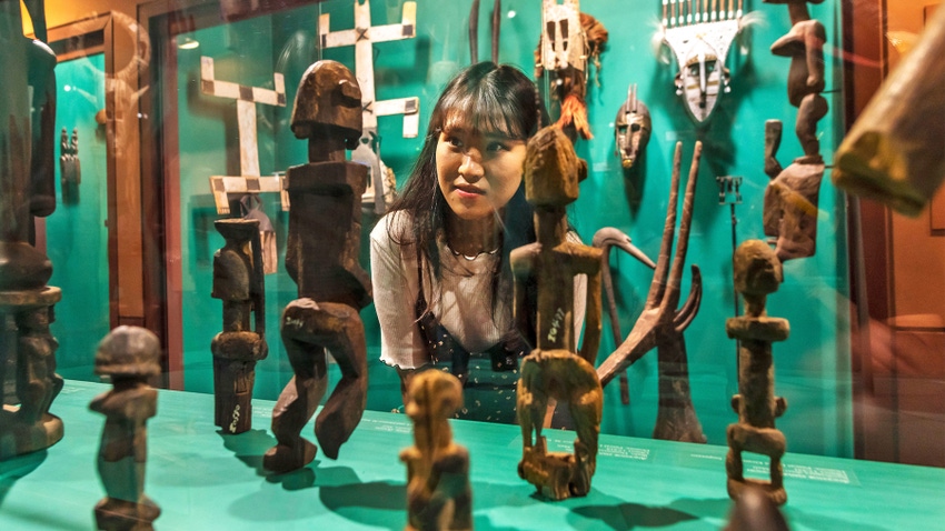 Visitor looking at display case at museum