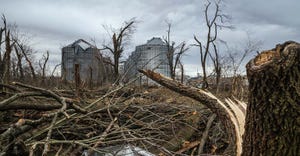 broken trees with damaged grain bins in background