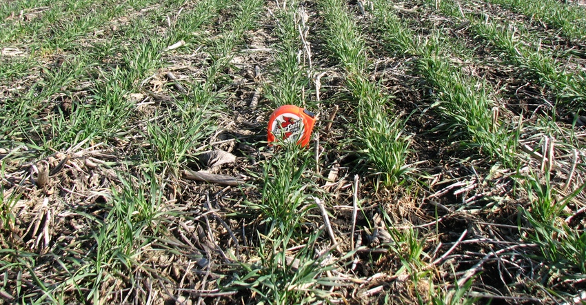row crop field