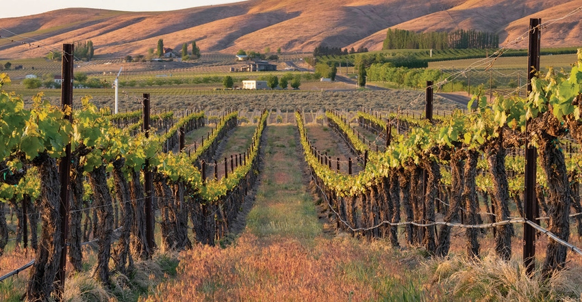 GL0728-WWG-wa-wine.jpg GL0728-WWG-wa-wine.jpg