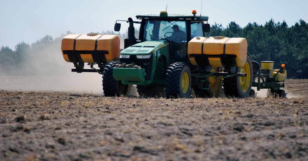 More peanuts, cotton and record soybeans, say farmers asked by USDA