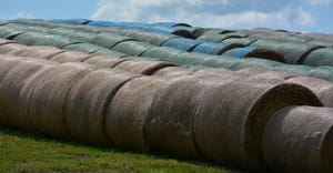 rolled haybales in field