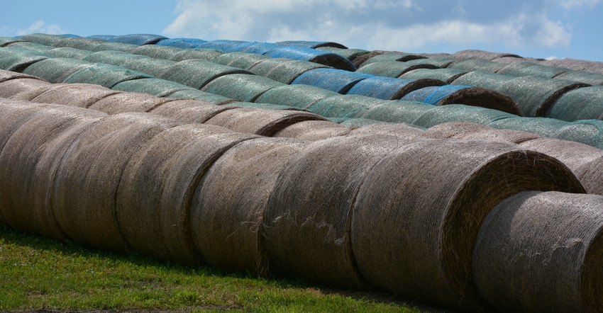 rolled haybales in field rolled haybales in field