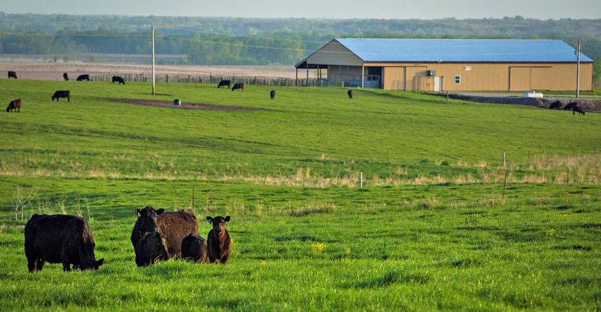 Thompson Research Center and grazing cattle