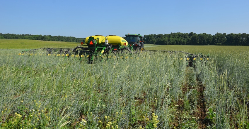 spring nitrogen application to cover crop