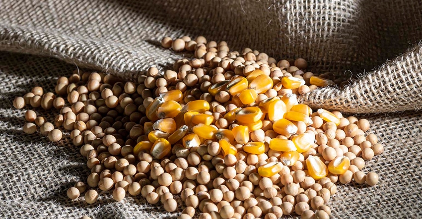 Corn and soybeans Corn and soybeans