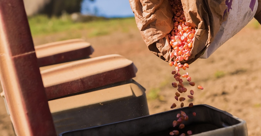 seed corn pouring into planter box seed corn pouring into planter box