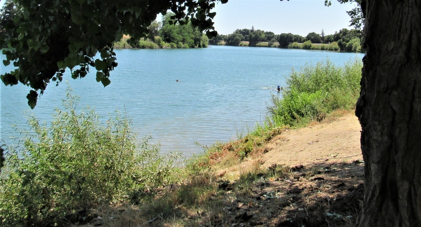 WFP-hearden-senior-water-rights.jpg WFP-hearden-senior-water-rights.jpg
