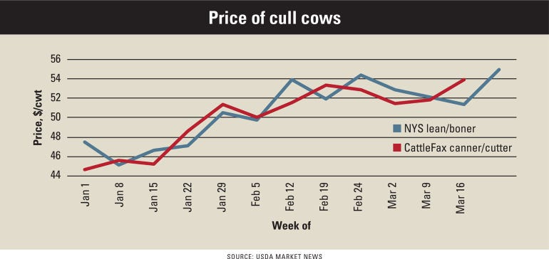 Chart shows the increasing price of boner and lean cows January through March 2019 due to grocery demand