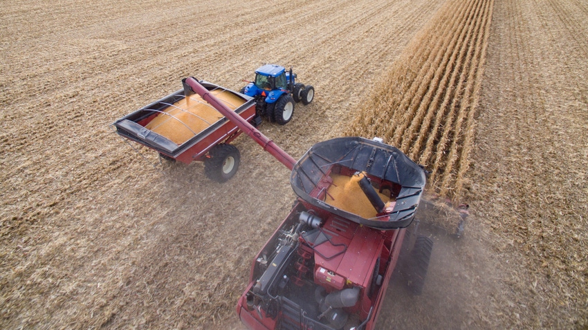 drone photo of a combine harvesting corn