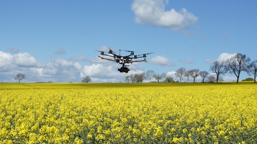 drone flying over rapeseed field