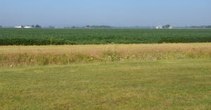 Indiana soybean field