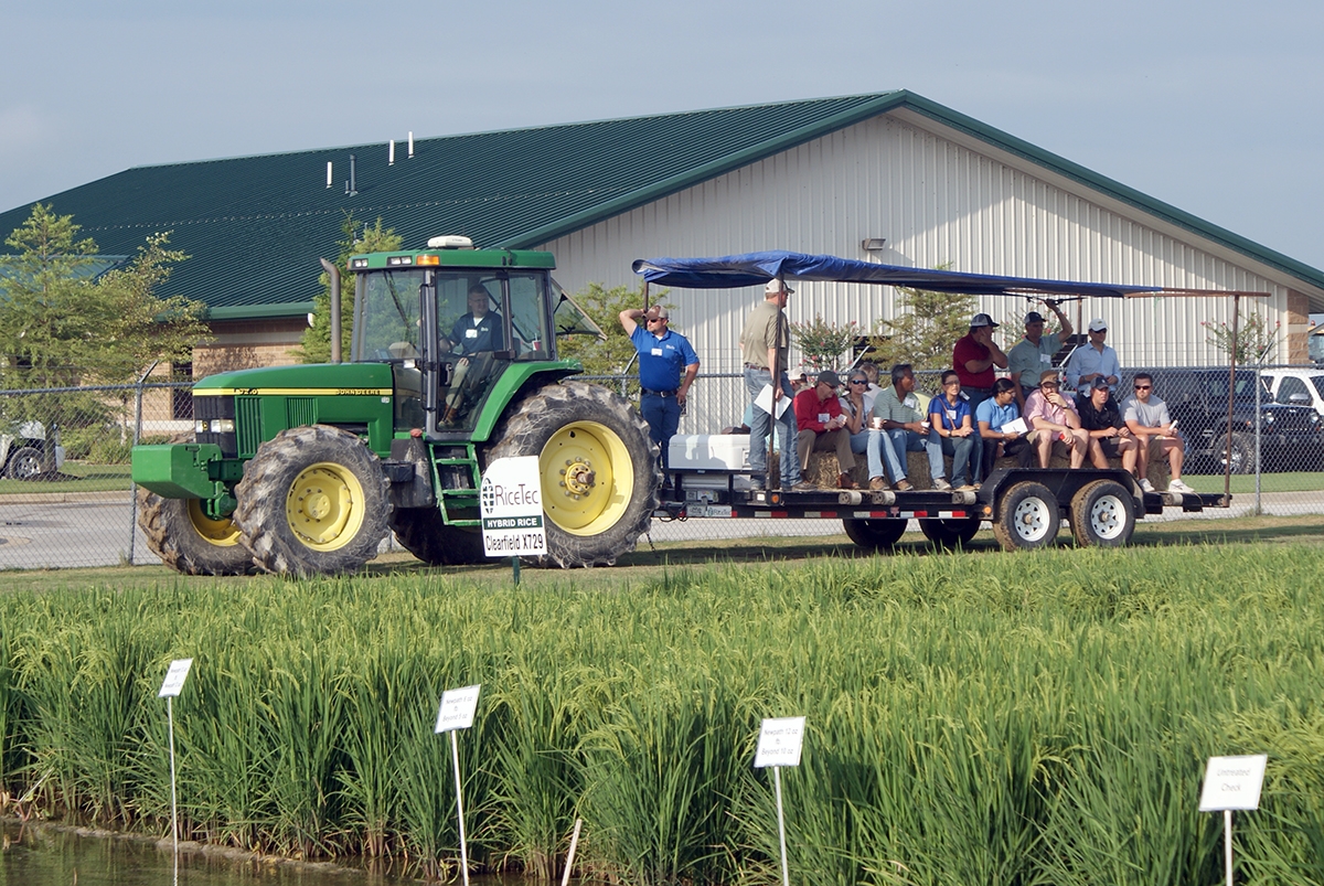 RiceTec to highlight advances in rice industry at Arkansas Field Day