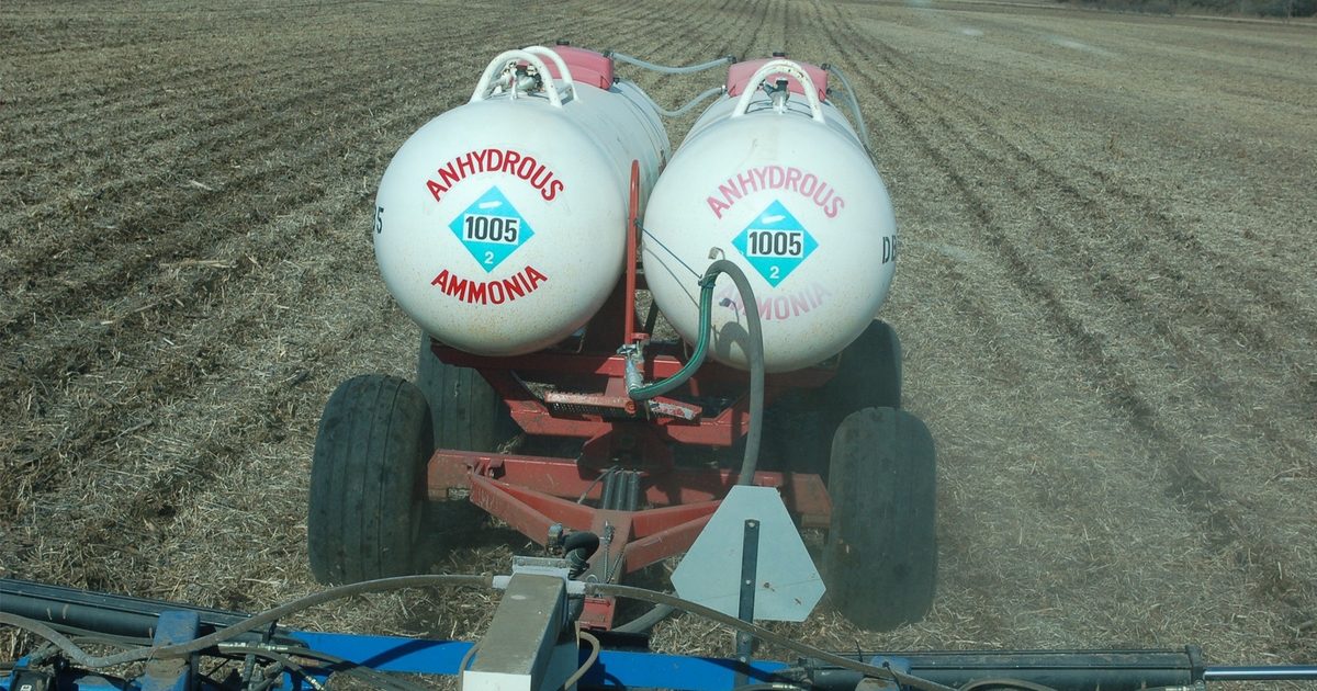First step in nitrogen management is managing the sink