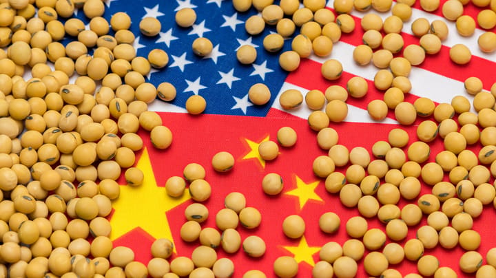 Tight supplies support soybean prices in wake of China’s snub