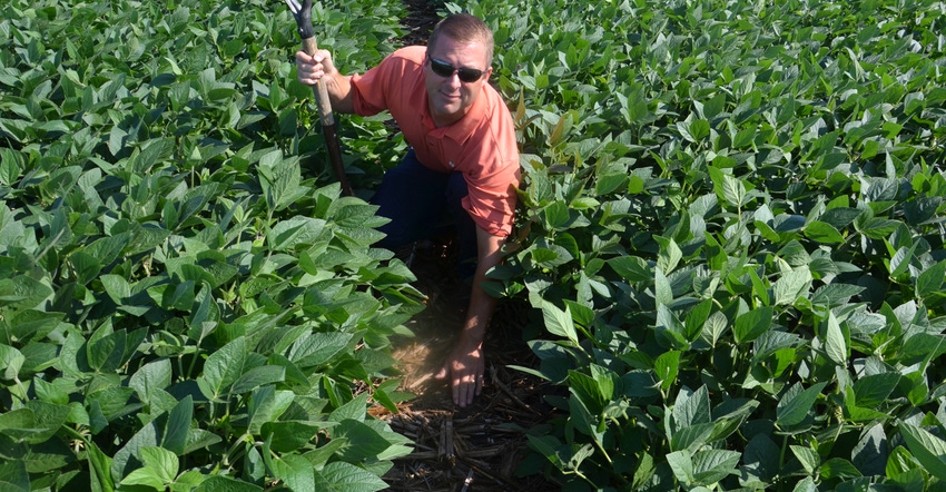 Steve Guack in soybean field