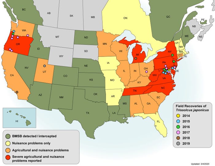 U.S. map shows locations of marmorated stink bug as agricultural pest and Samurai wasp recoveries