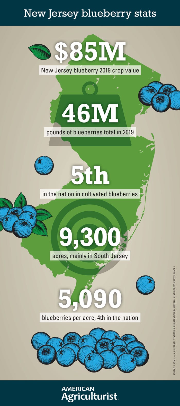 New Jersey blueberry production statistics