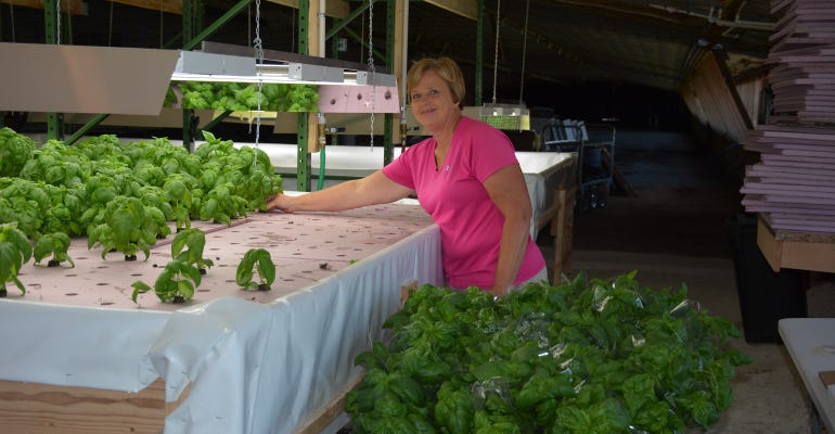 Vicki Sump growing hydroponic vegetables in idle greenhouse