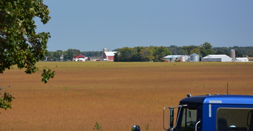 soybean field with farmstead in background