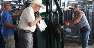 Dr. Joe Jeffrey demonstrating the  cattle chute demos at Husker Harvest Days 
