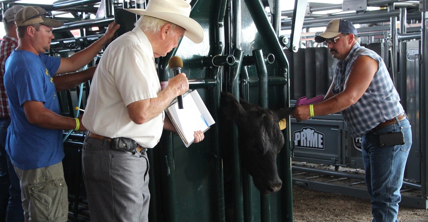 Dr. Joe Jeffrey demonstrating the cattle chute demos at Husker Harvest Days Dr. Joe Jeffrey demonstrating the cattle chute demos at Husker Harvest Days