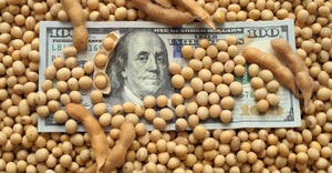 eap of soy beans and dollar banknotes