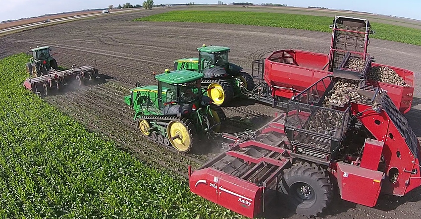 sugarbeet scalper operates ahead of harvester sugarbeet scalper operates ahead of harvester