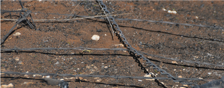 ranchers_urged_photograph_document_fire_losses_1_635948005192896000.png
